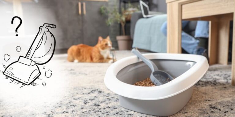 Can You Vacuum Cat Litter? The Pros and Cons for 2024
