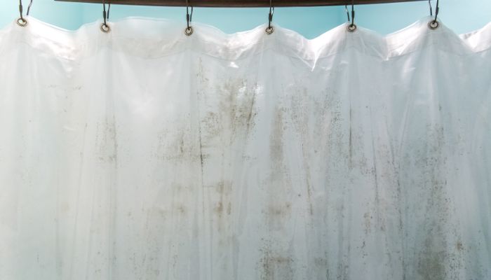 Remove Mold and Mildew from Plastic Shower Curtains