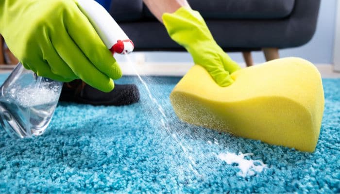 Can-I-Shampoo-My-Carpet-While-Cleaning