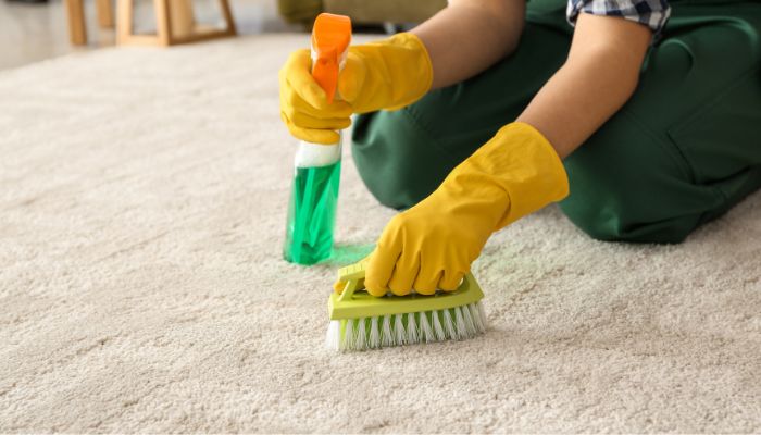 How-To-Deep-Clean-A-Carpet-Without-A-Machine