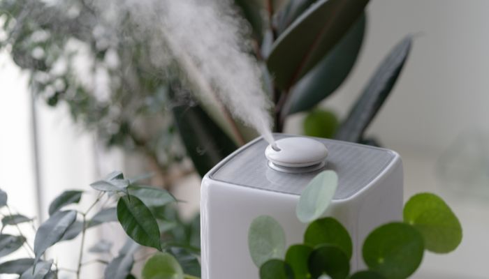 How to Clean Govee Humidifier