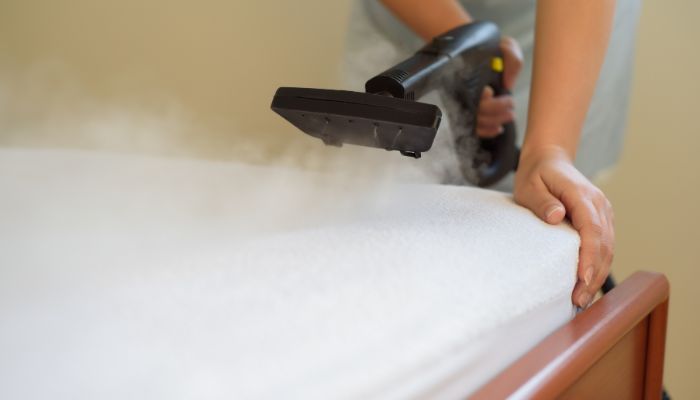 Does Steam Cleaning Kill Bed Bugs? [Beyond Chemicals]