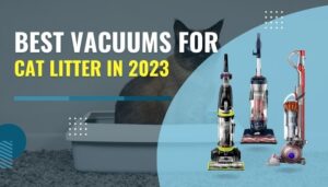 Scoop No More: 03 Best Vacuums for Cat Litter in 2023