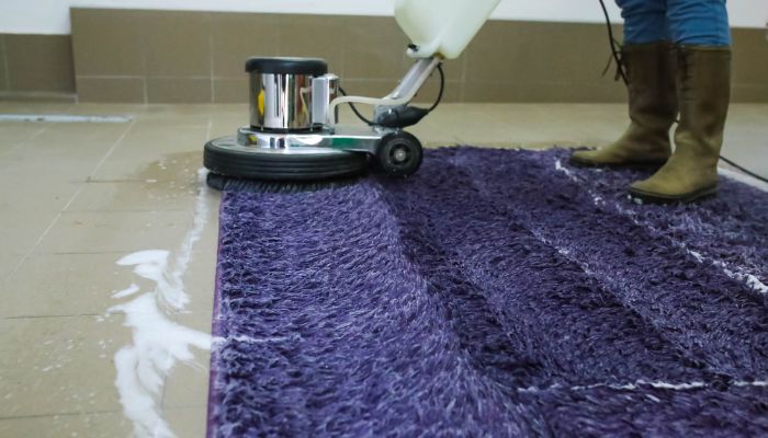 Our Expert Carpet Cleaning Process