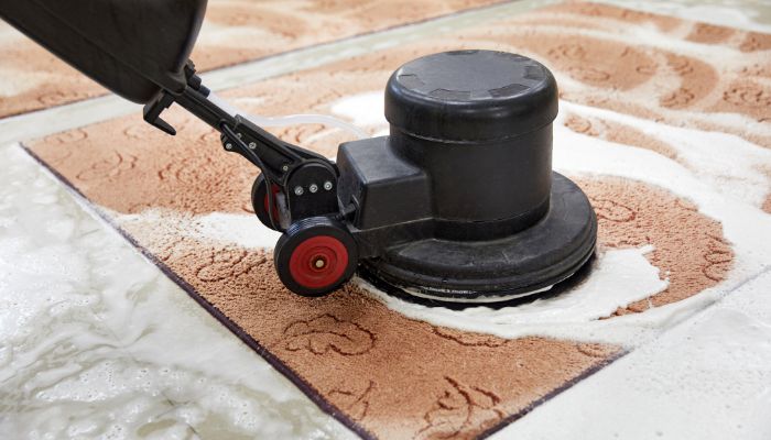 Expert Carpet Cleaning Service in Miami, FL