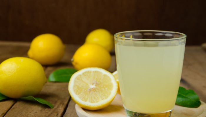 how to clean portable ice maker with lemon juice