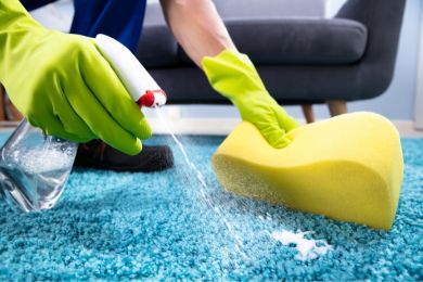 Carpet Cleaning Service - BCT - Miami, Florida, USA