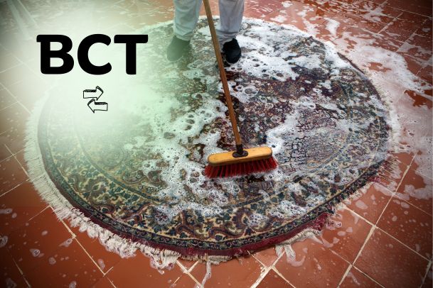 Carpet Cleaning Service - BestCleaningTools - Florida, USA